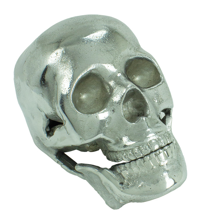 Skull UAL139