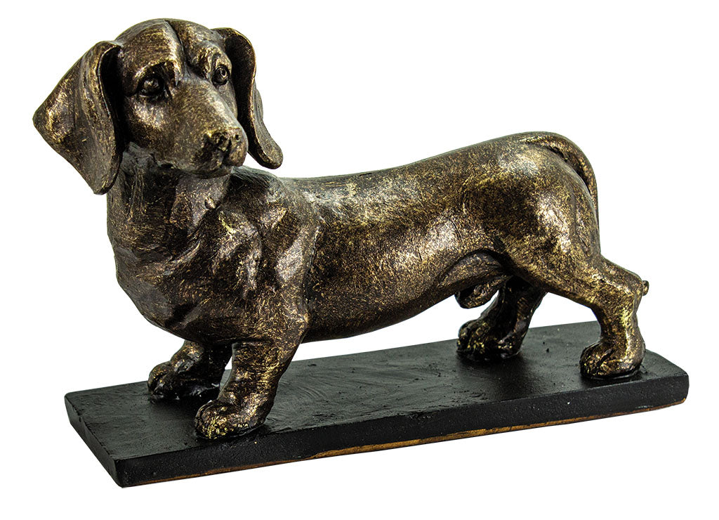 Dachshund UR146