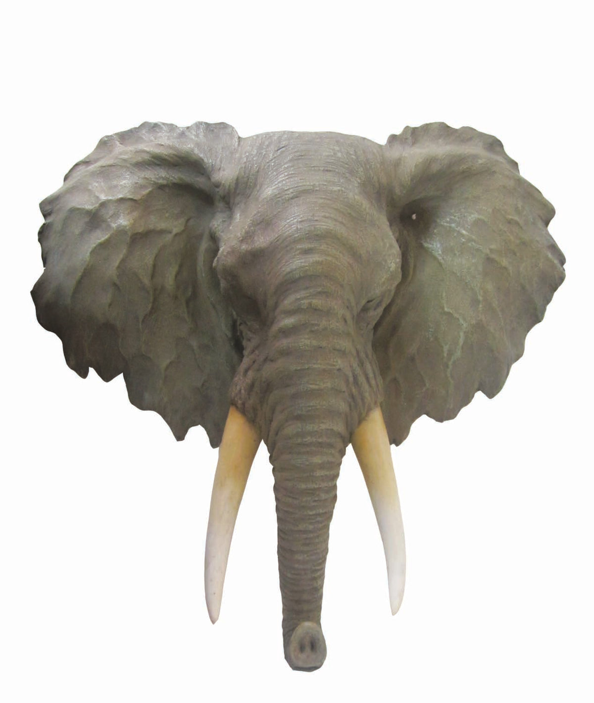 Elephant Head UR2019
