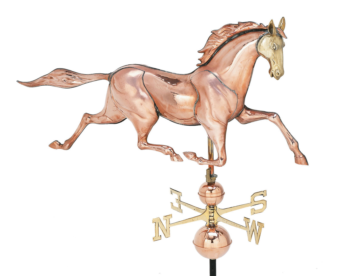 Pol. XL 3-D Race Horse WV (Foamed) W257P