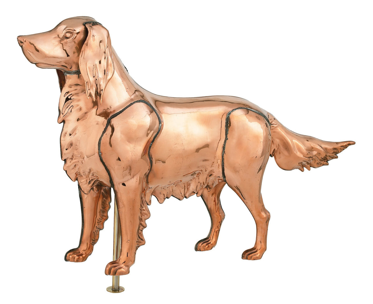 Pol. 3-D Hunting Dog Wv