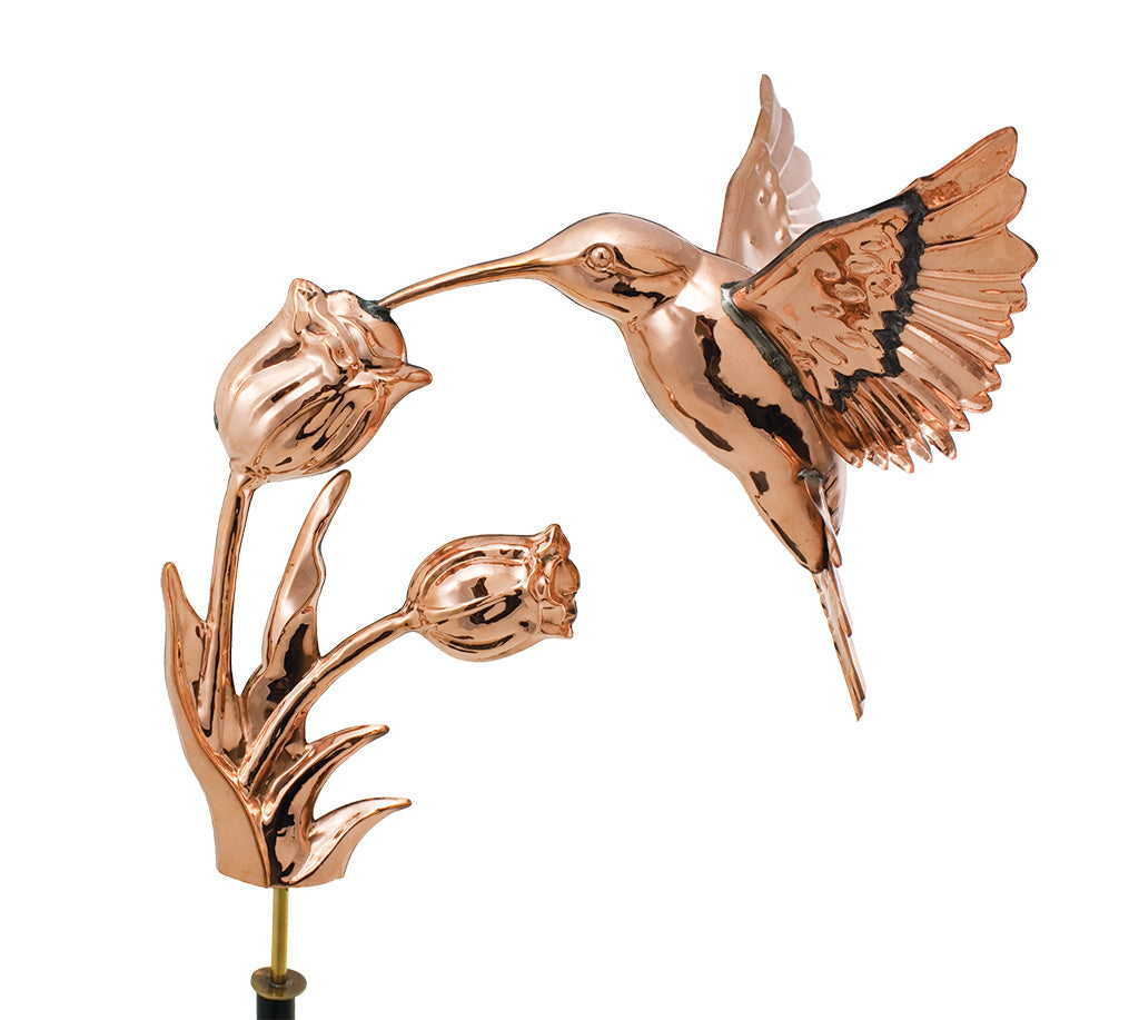 Pol. Hummingbird WV WV348P