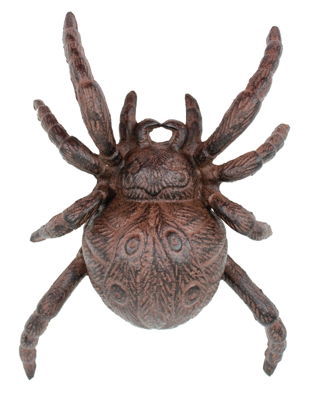 XL Spider – (Pkg. 2) X2610