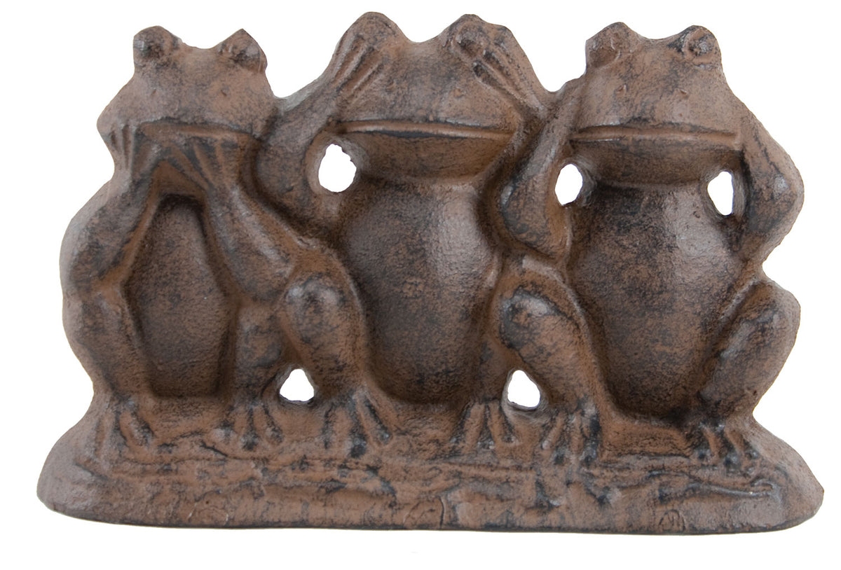 Frog (Speak, See, Hear) X5042