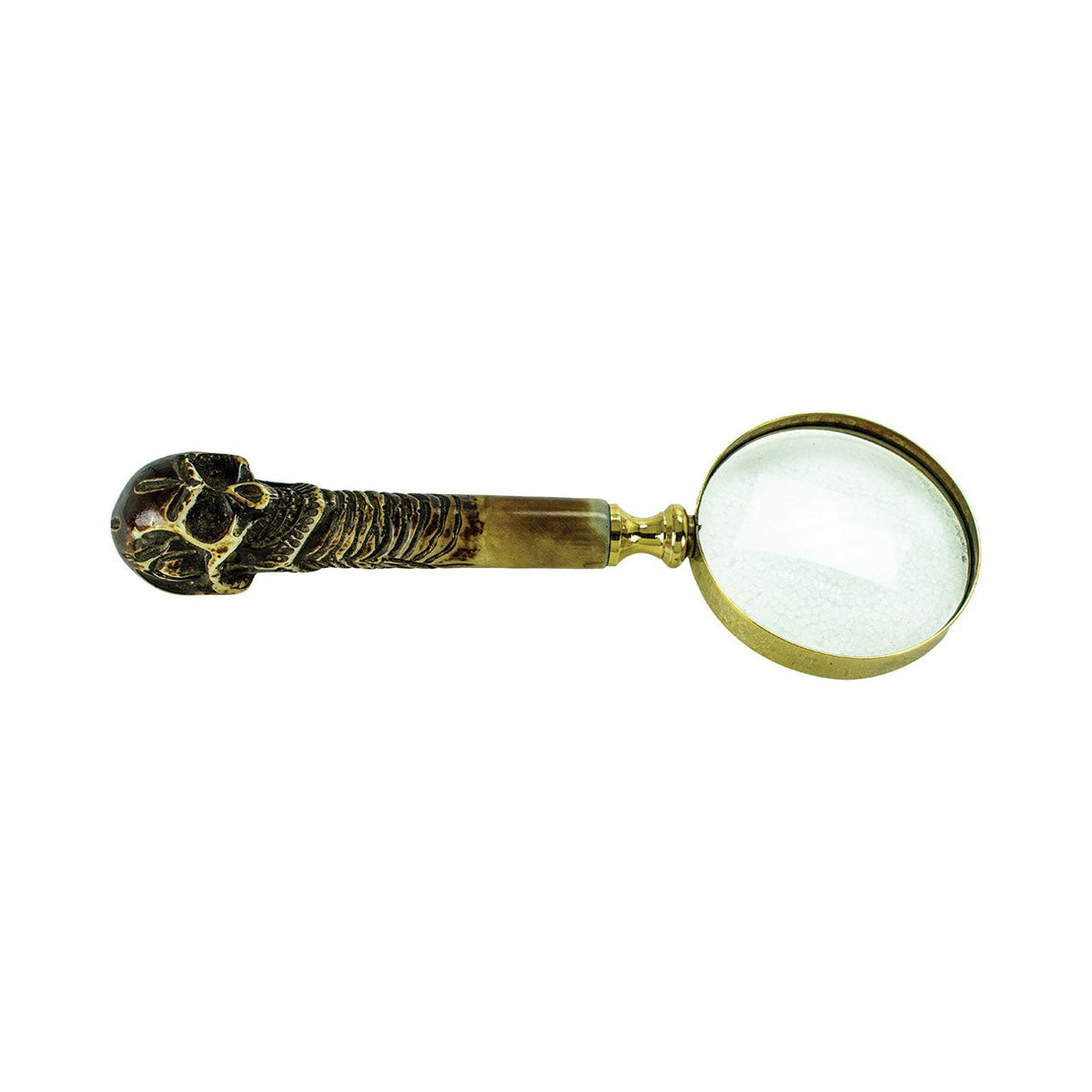 Skeleton Magnifier (Min. 2)