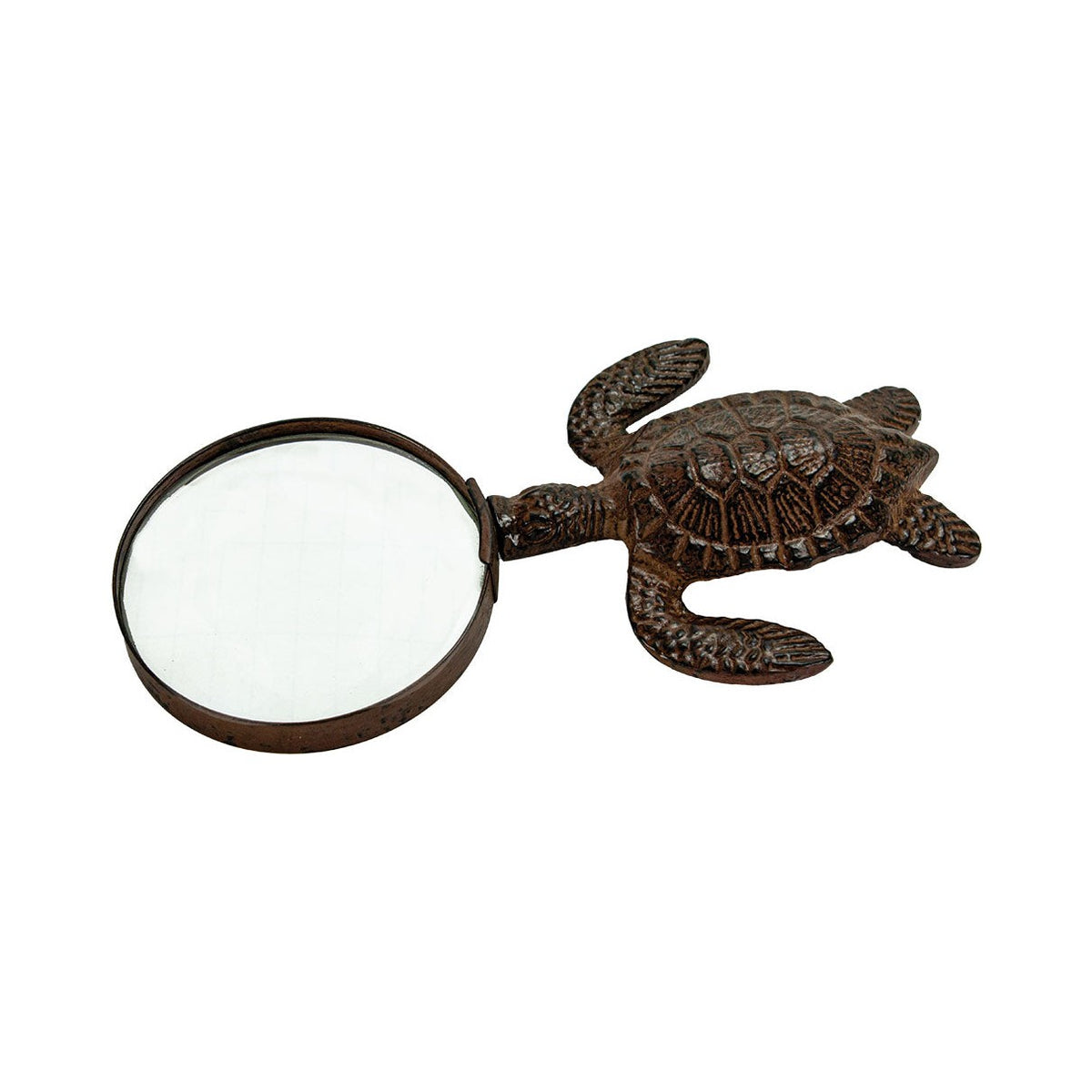 Sea Turtle Magnifier (Min. 2)