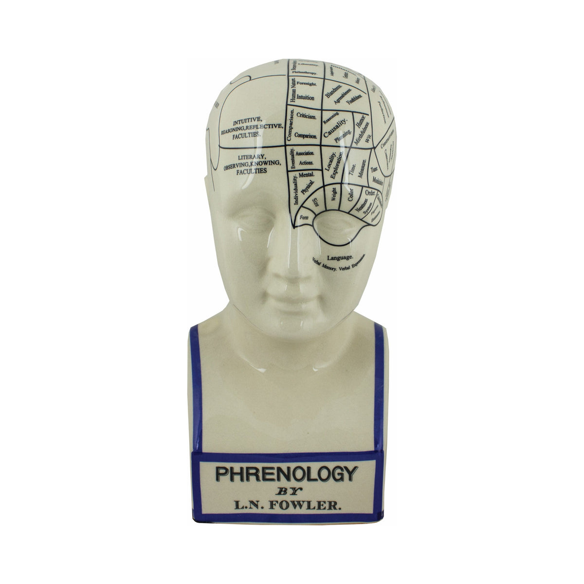 Phrenology Head (Pkg. 2)