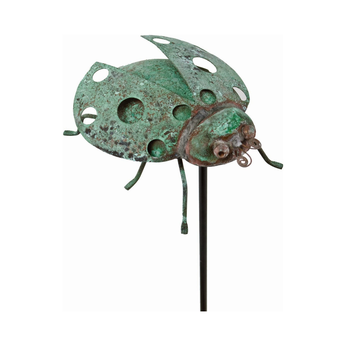 Lady Bug W/ Stake