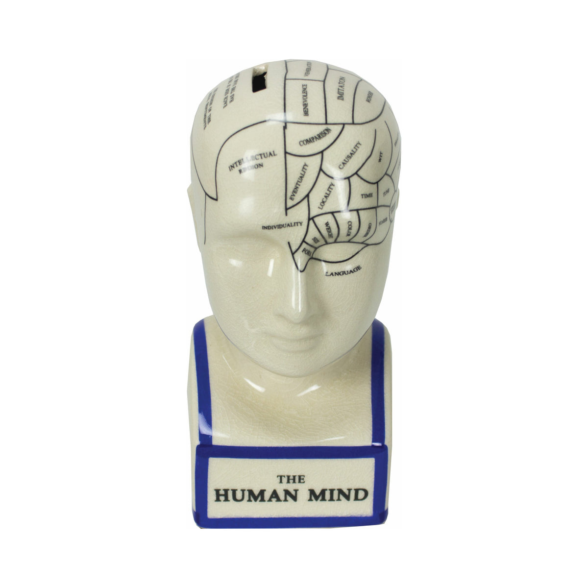 Phrenology Head Bank