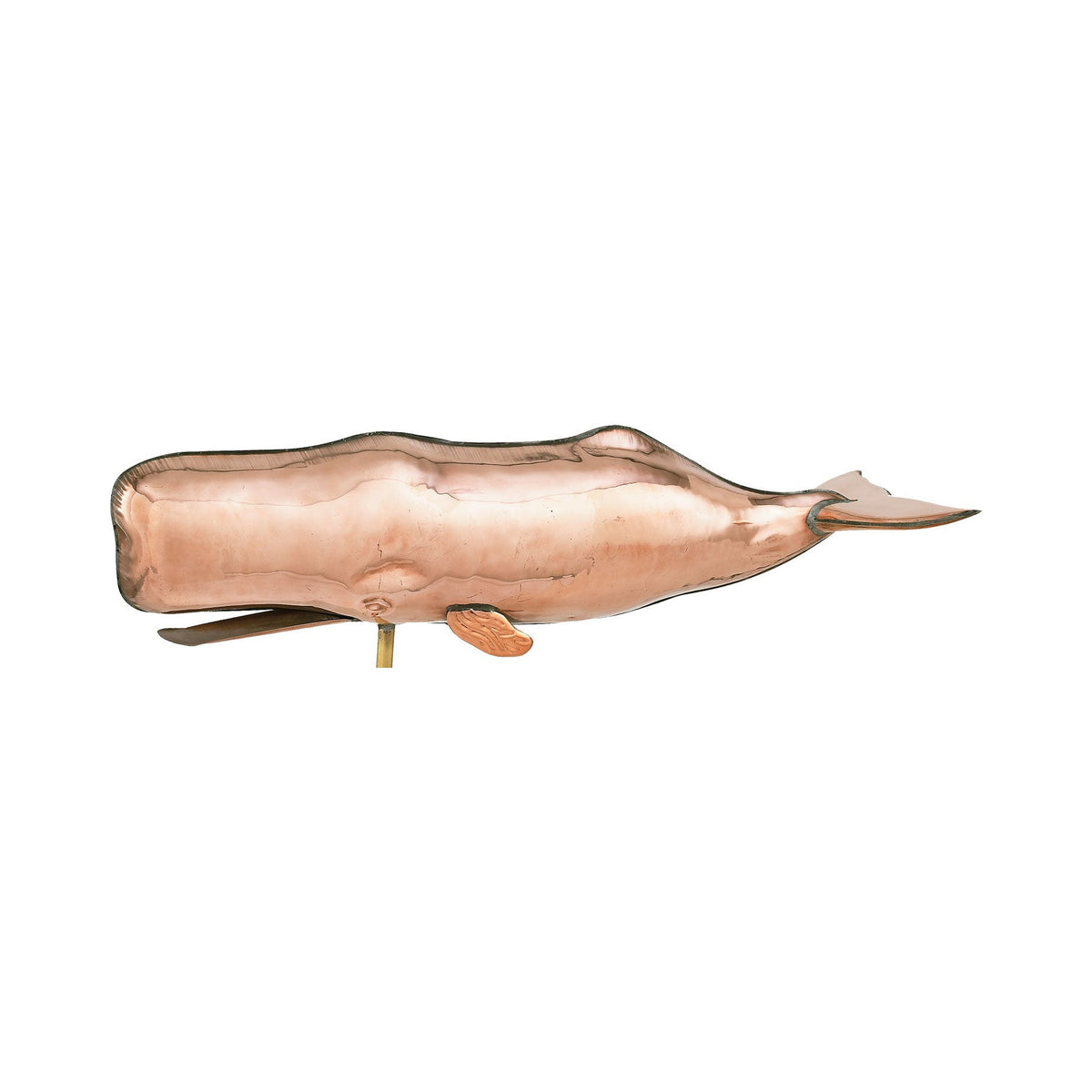 Pol. Sperm Whale WV