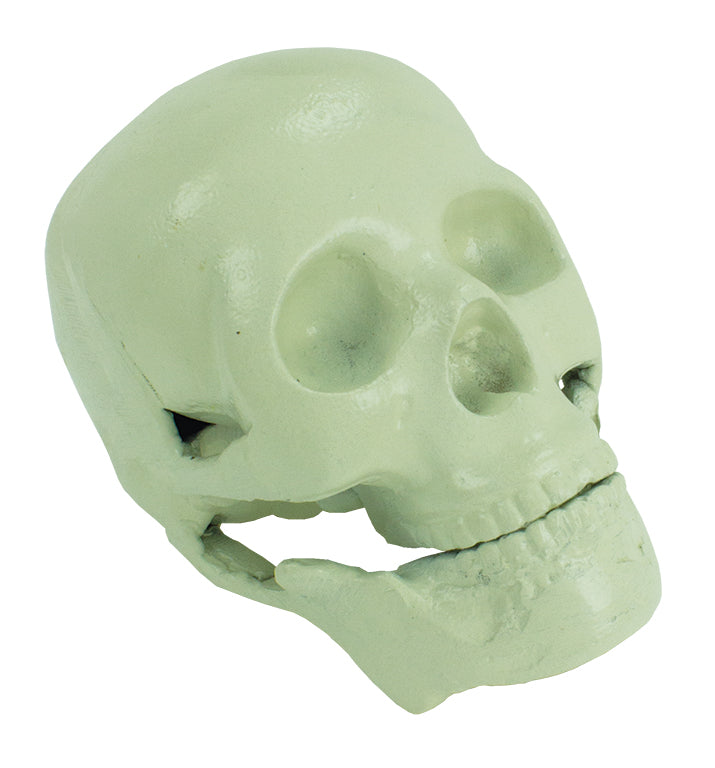 Skull – White UAL142
