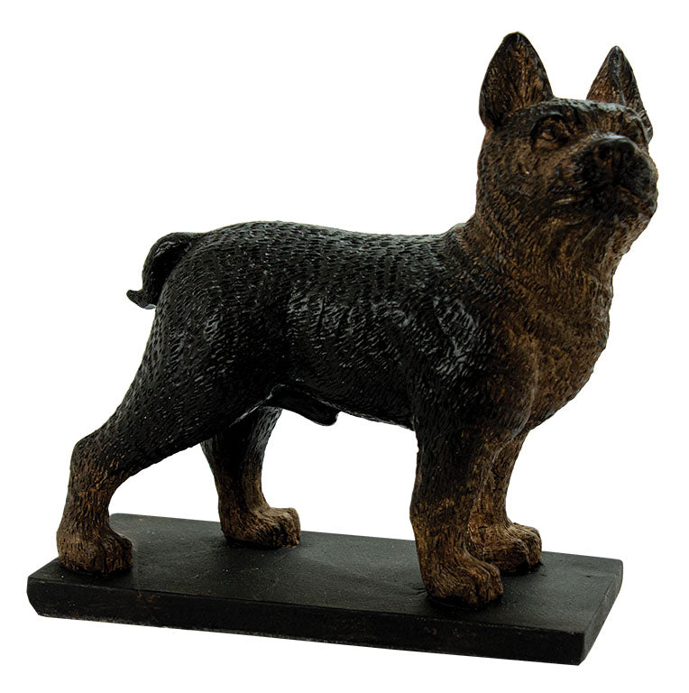 Boston Terrier UR147
