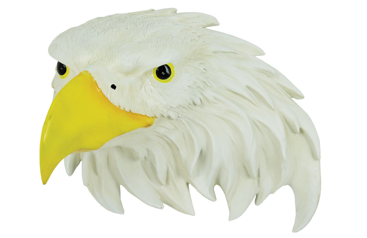 Eagle Head UR2014