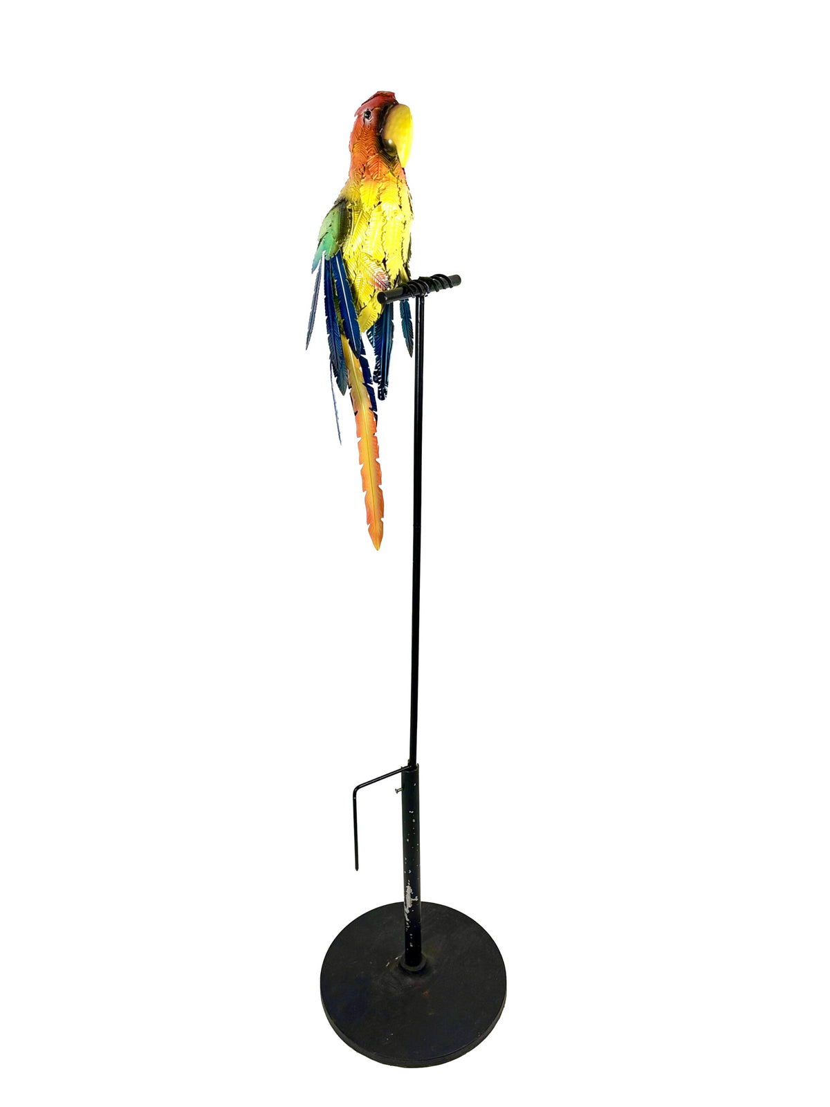 Parrot