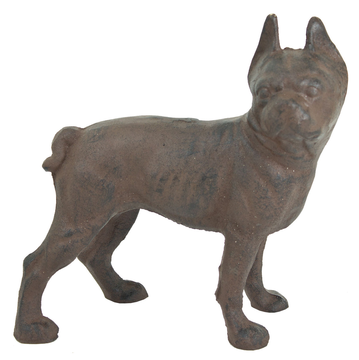 Boston Terrier – Rust UX4132