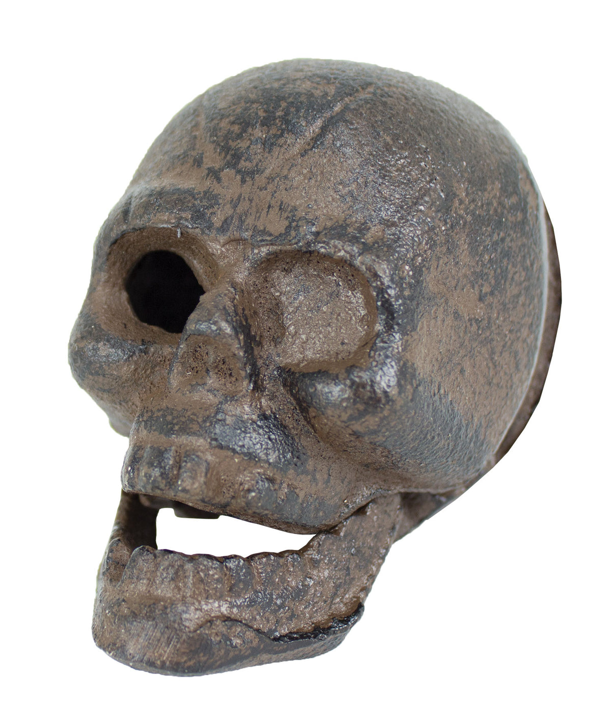 Skull B/O – (Pkg. 6) UX4246