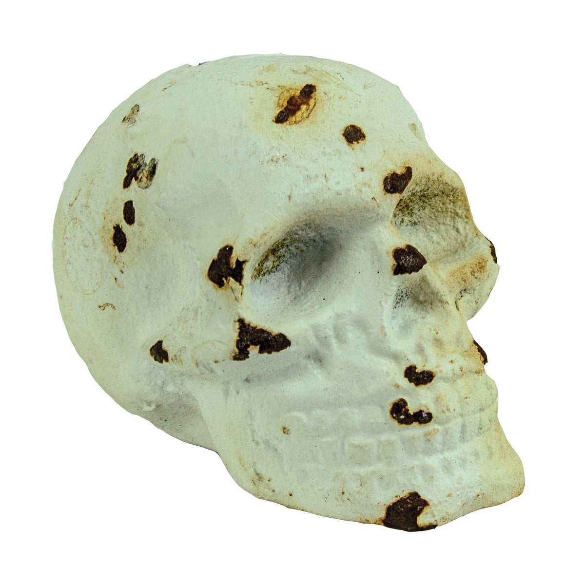 Skull P/W Antique White – (Pkg. 4) UX4459