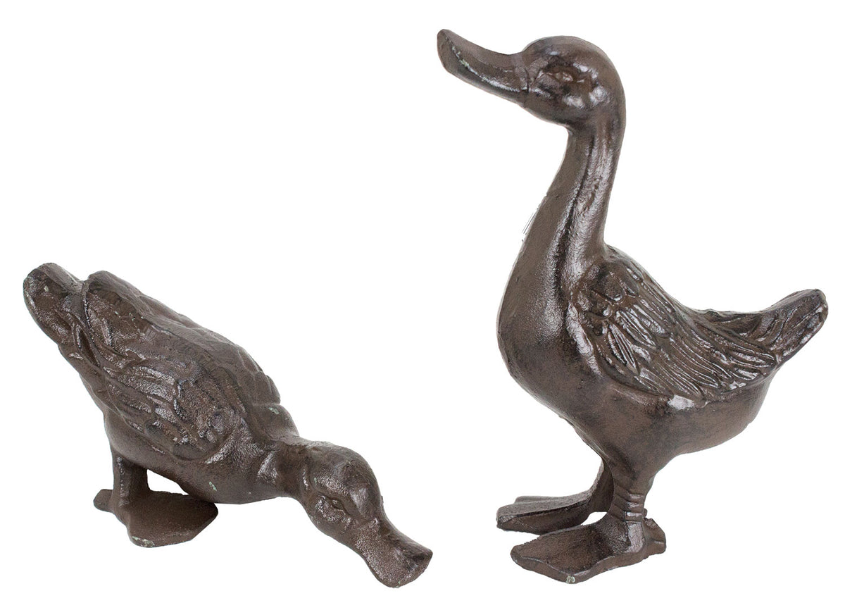 Pr. Ducks – Rust UX7068