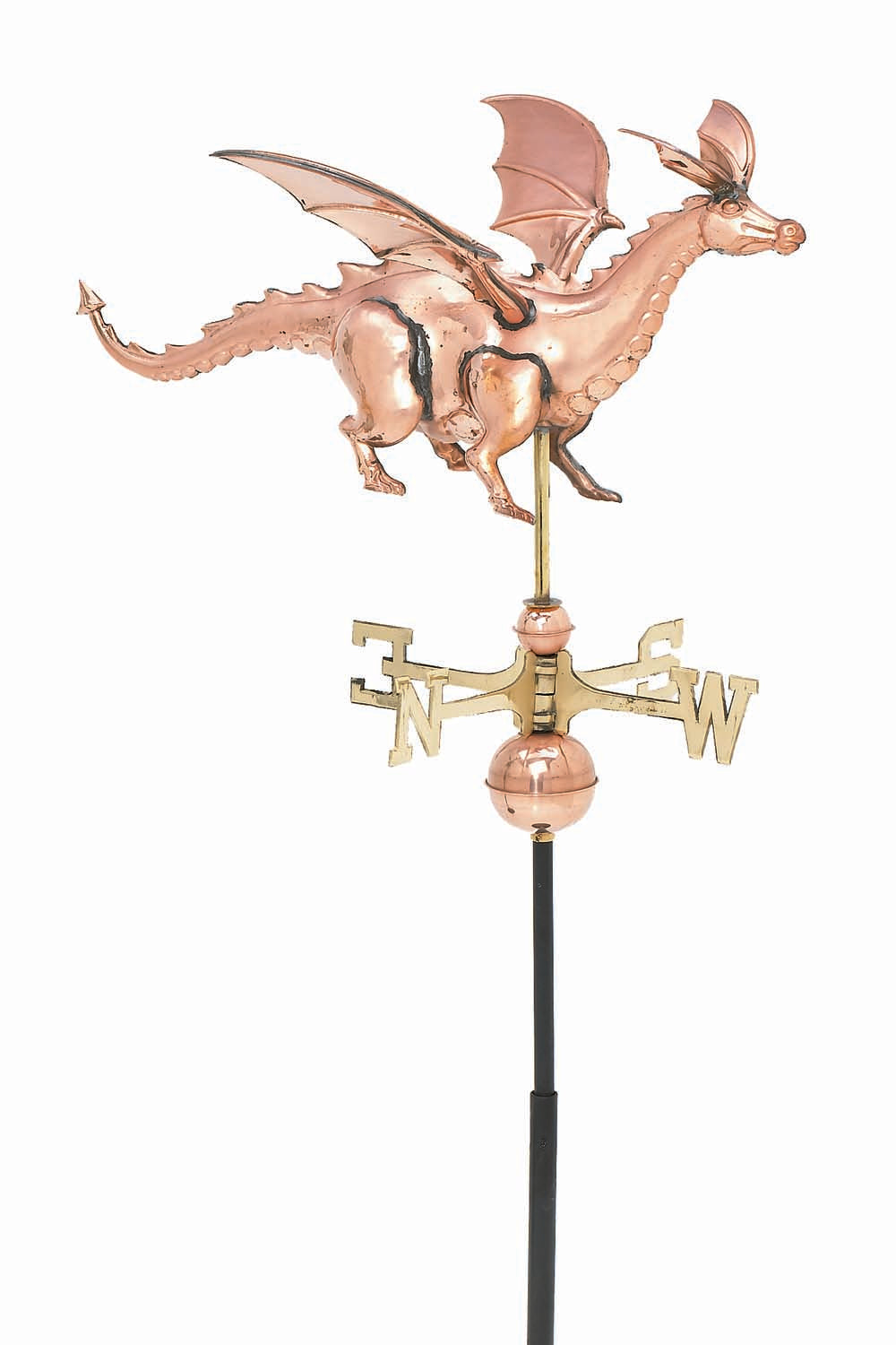 Pol. 3-D Dragon WV W256P
