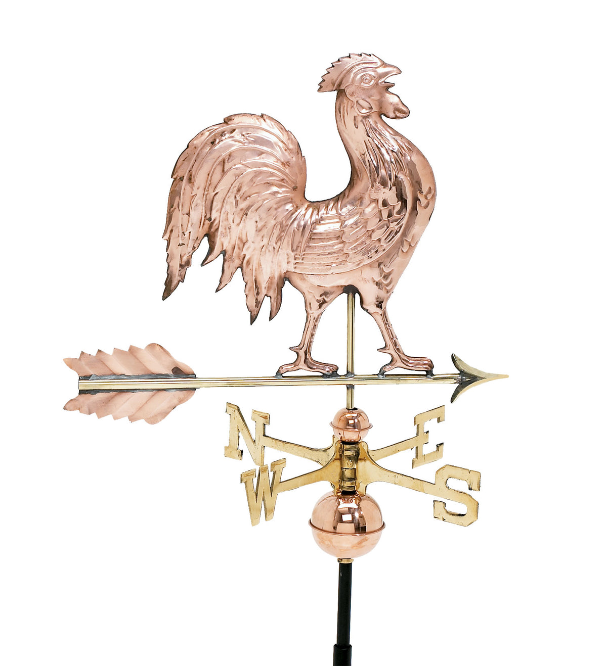 Pol. Rooster WV W262P