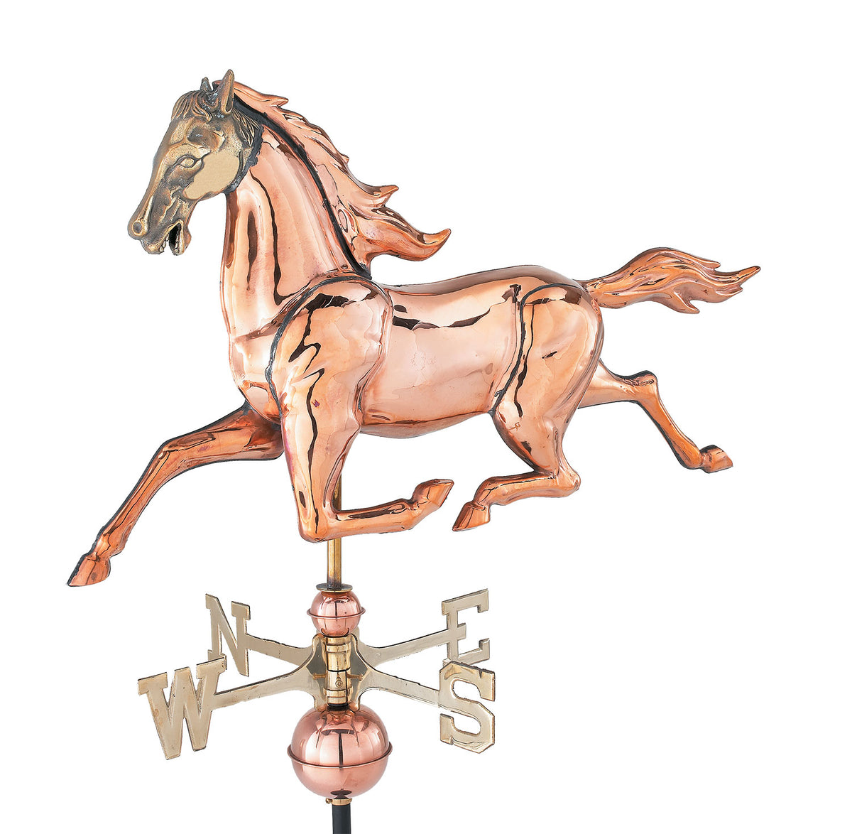 Pol. 3-D Med. Horse WV WV265P