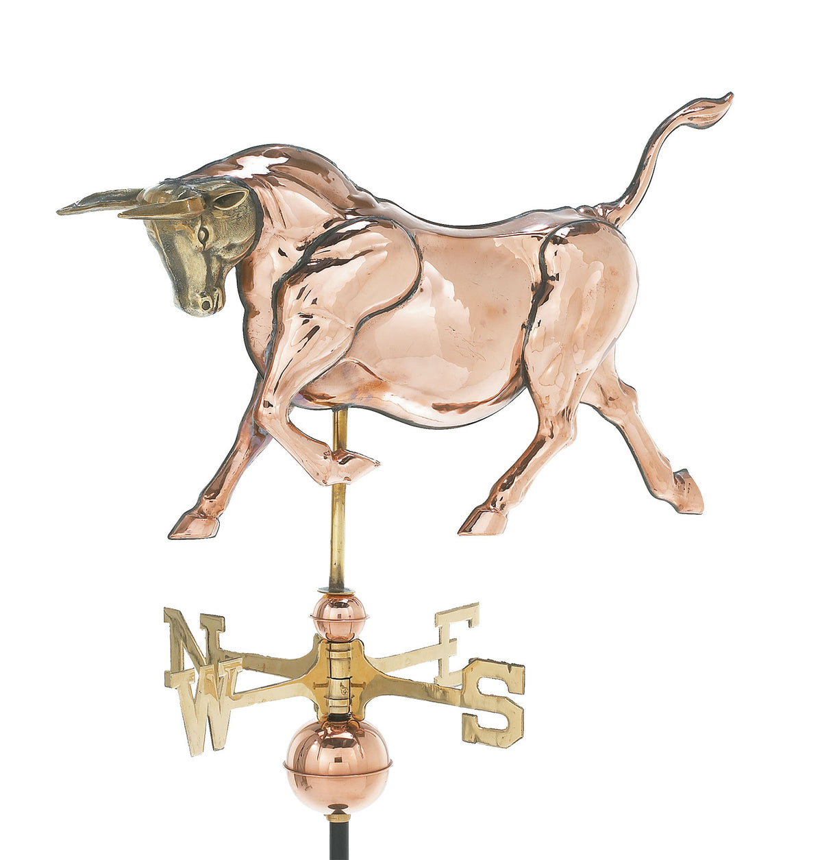 Pol. 3-D Bull WV