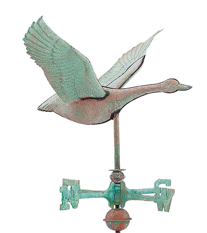 Pol. Flying Goose WV W297P