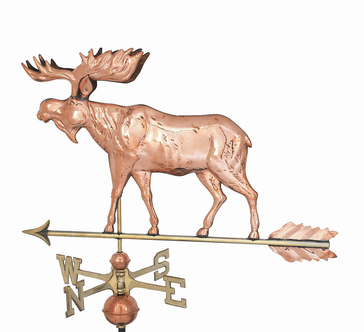 Pol. Moose WV WV304P