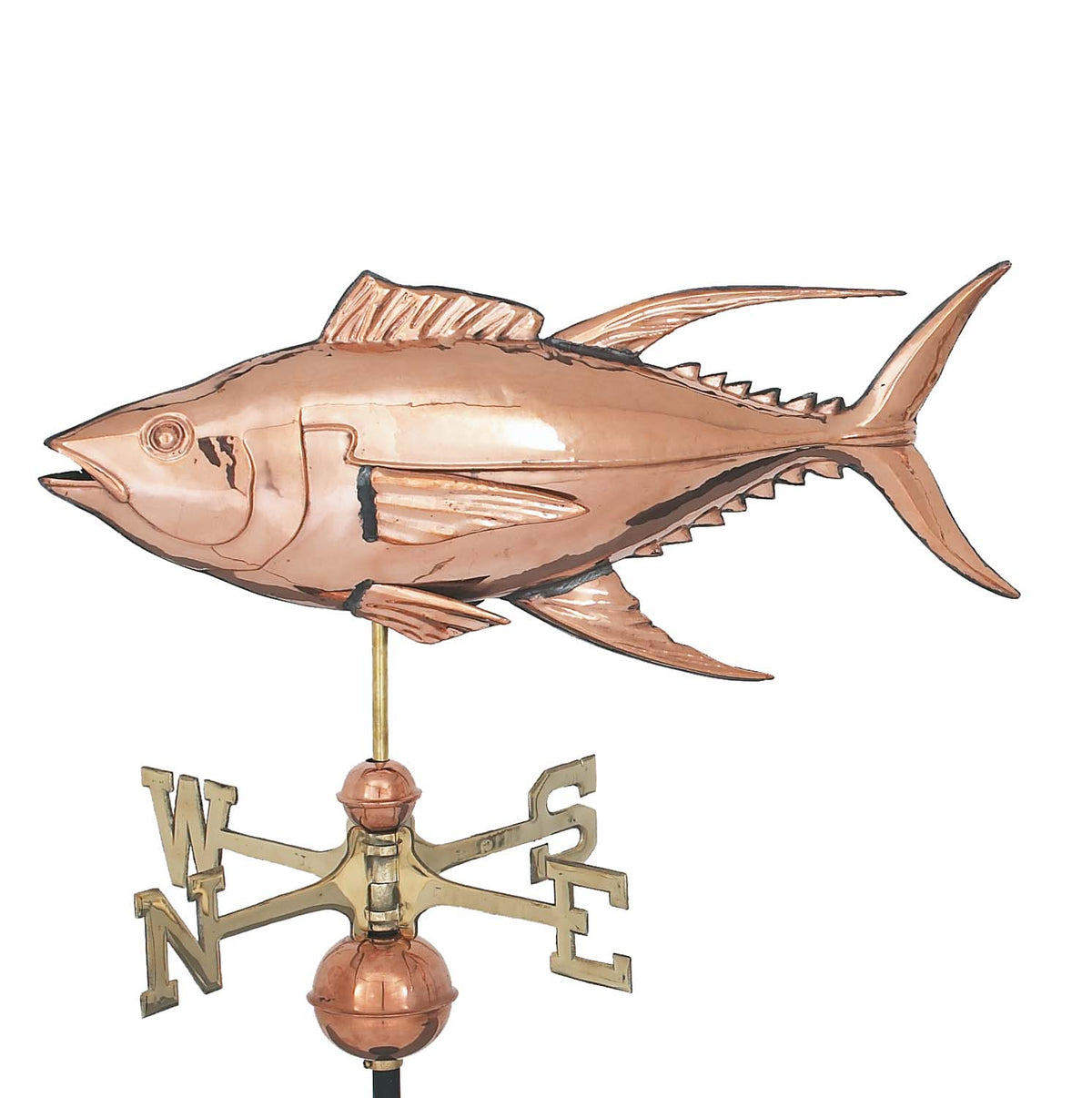 Pol. Yellow Fin Tuna WV WV307P