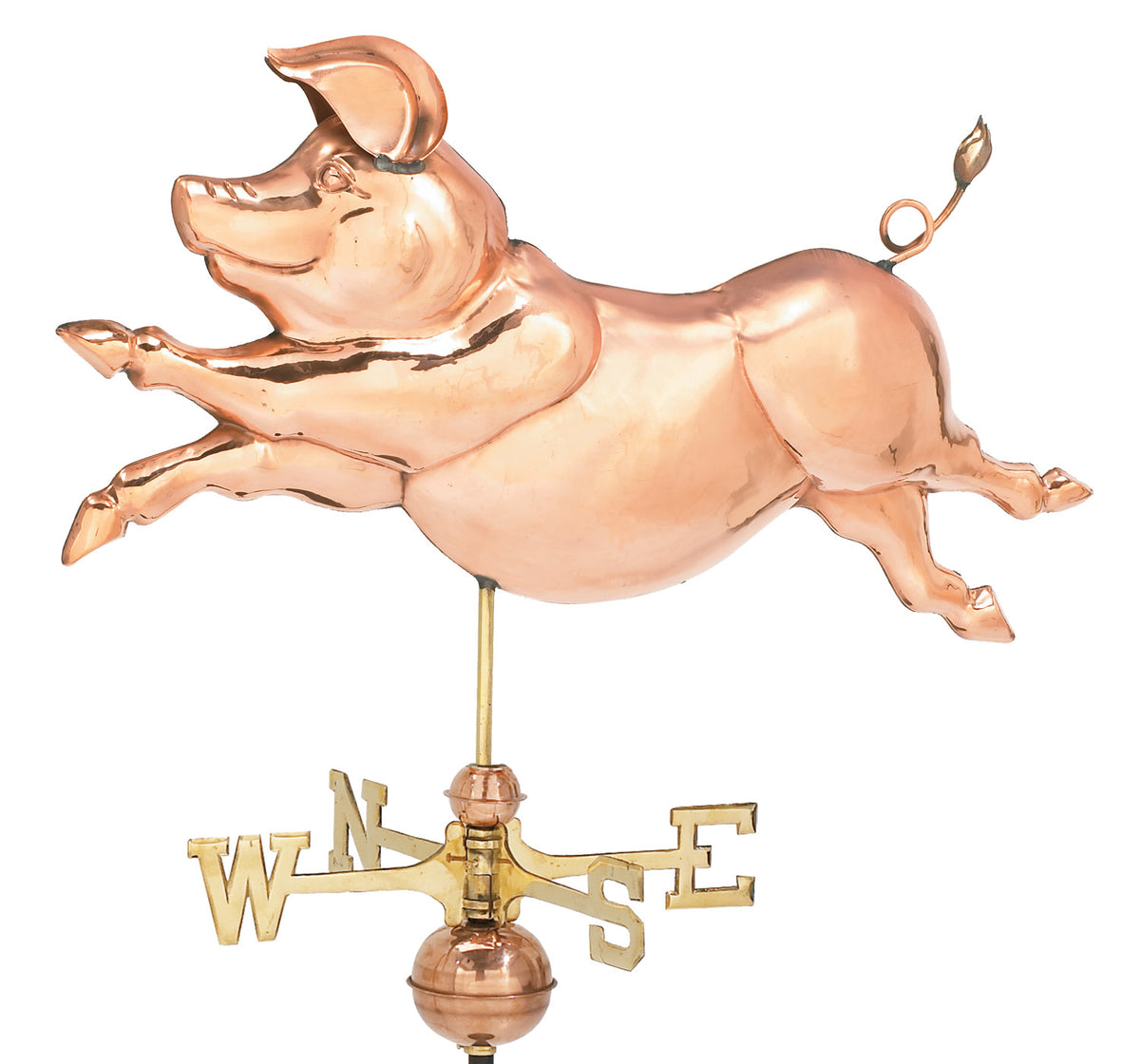 Pol. Jumping Pig Wv
