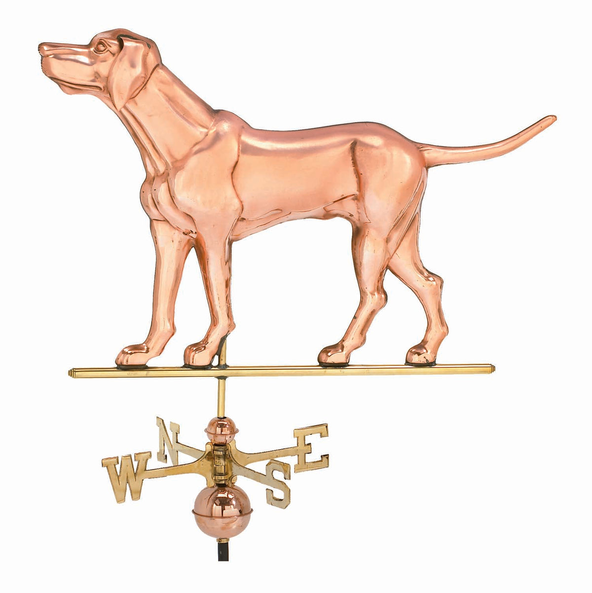 Pol. Labrador Retriever Wv WV333P