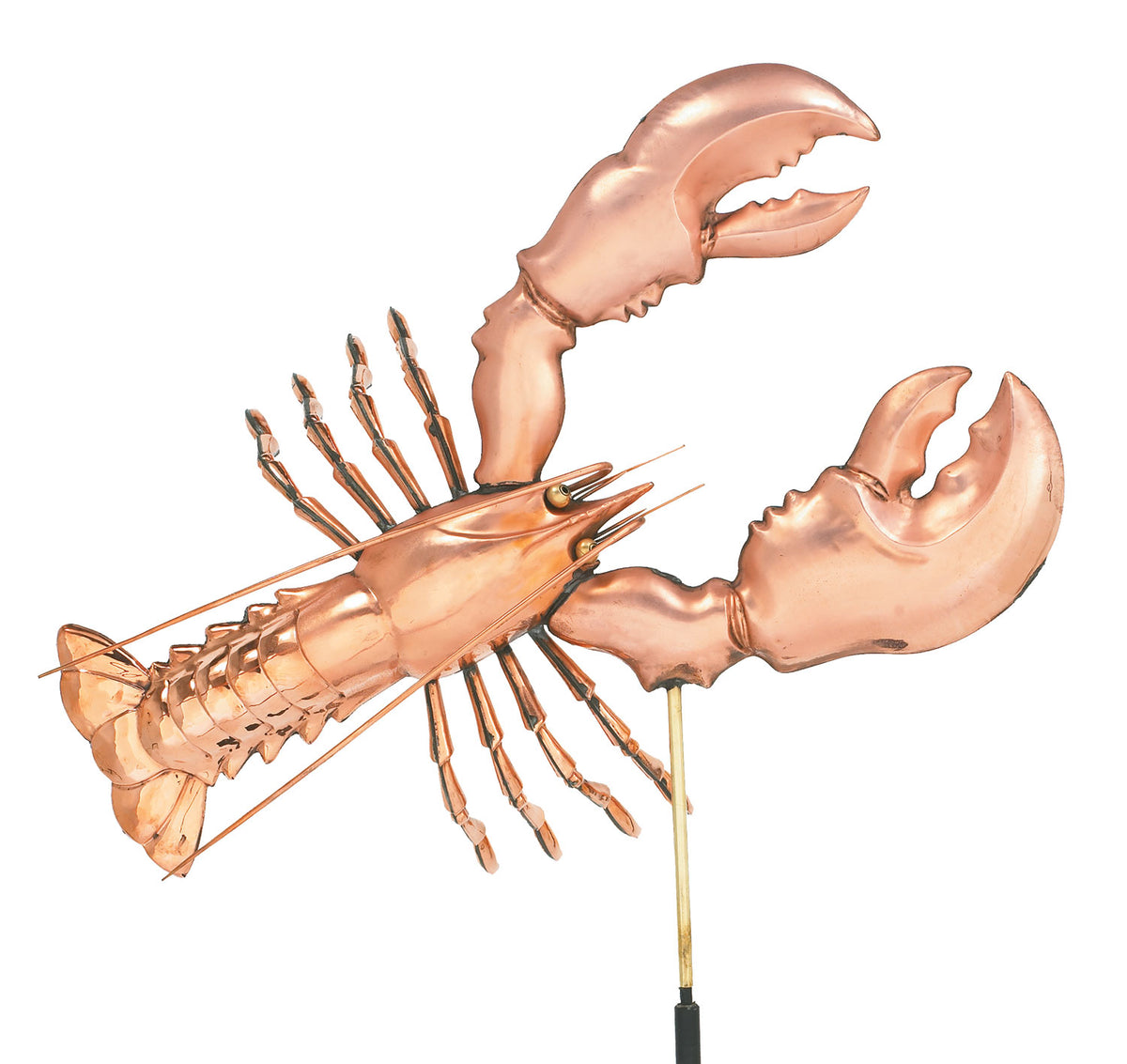 Pol. Lobster Wv WV338P