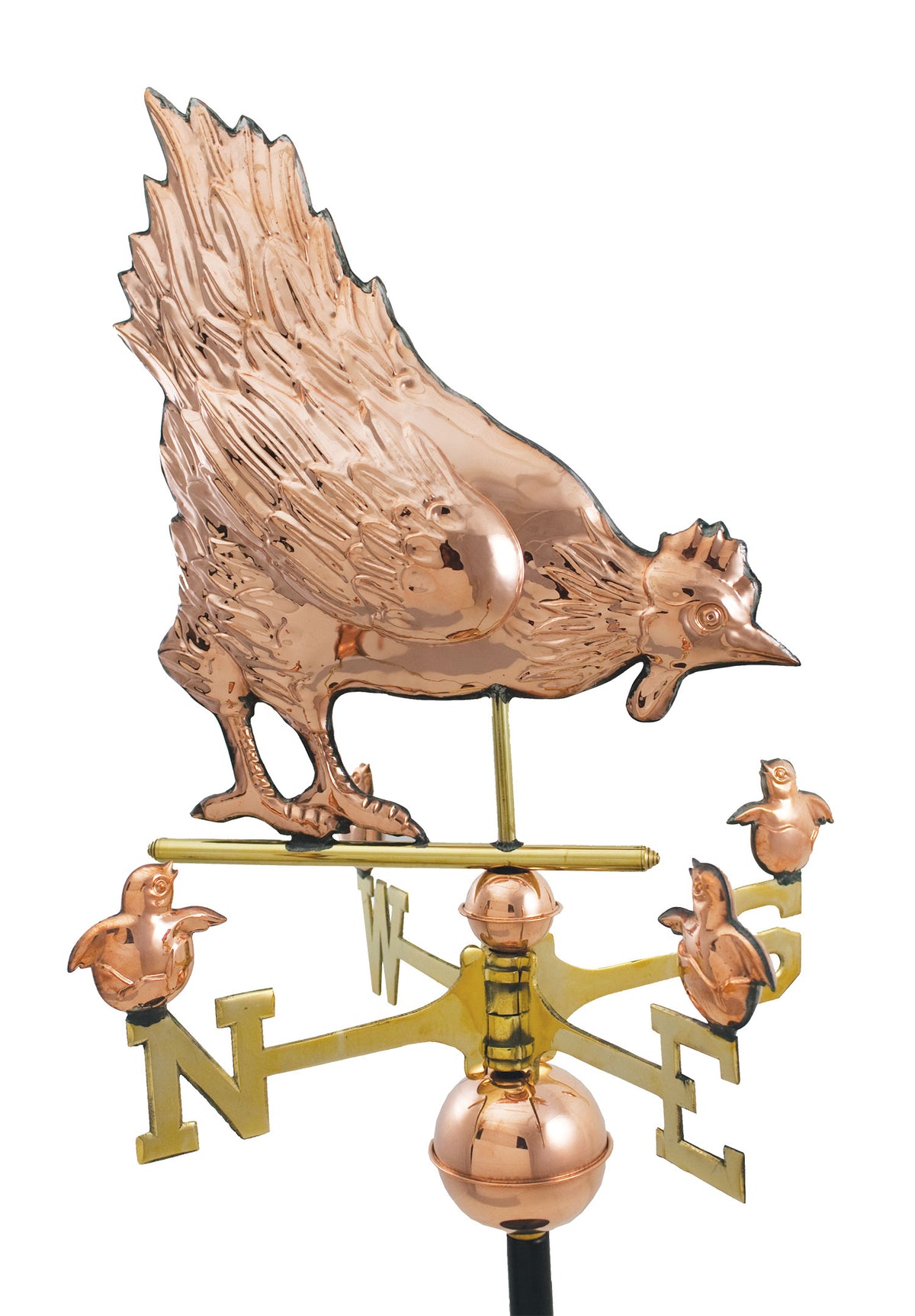 Pol. Hen & Chick WV WV349P