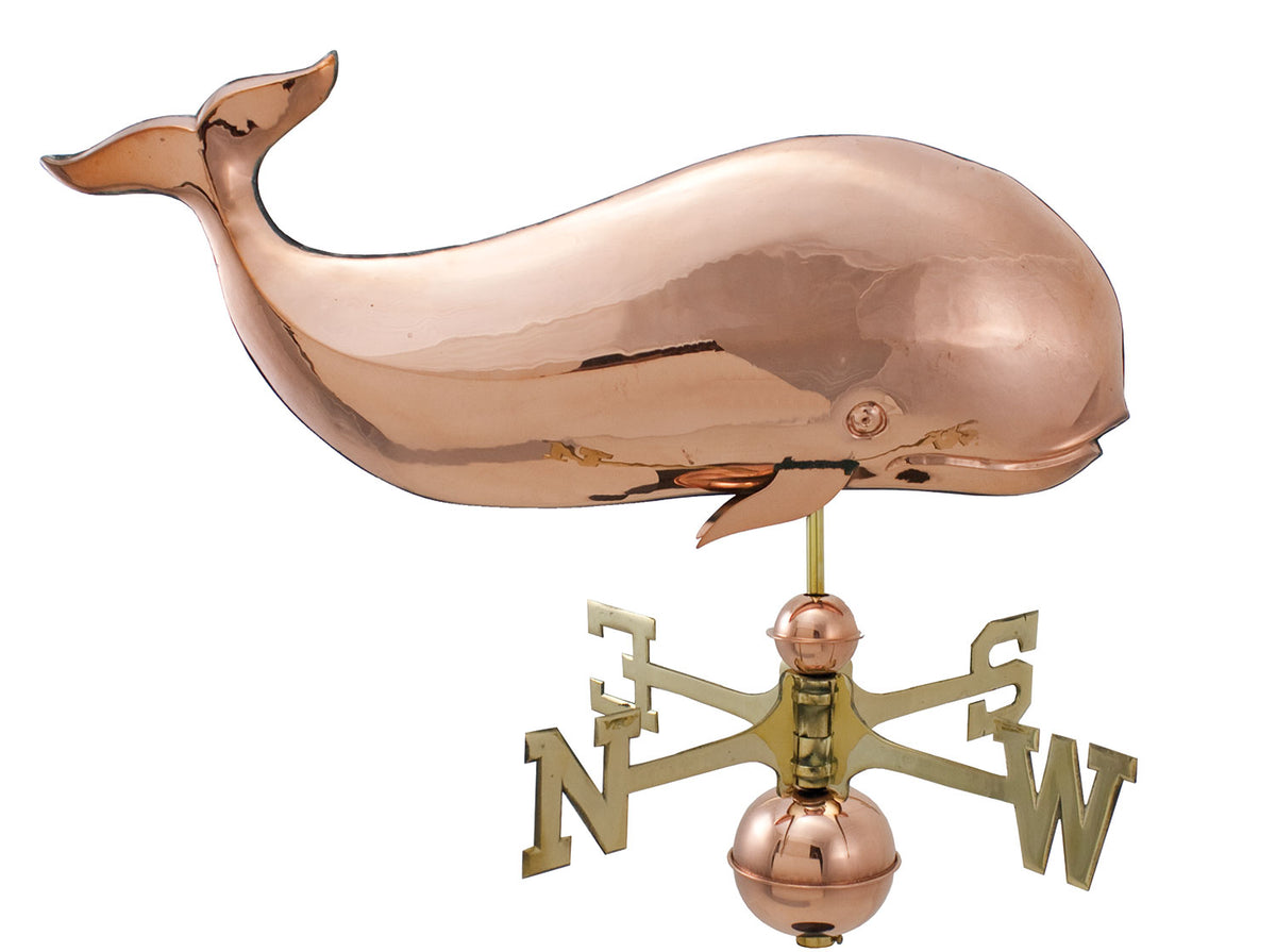 Pol. Whale WV WV353P