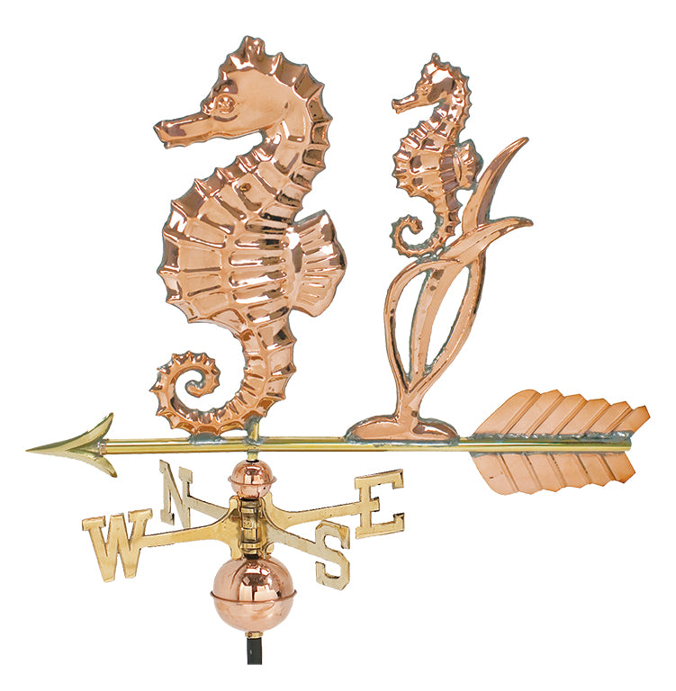Pol. Seahorse W/V WV366P