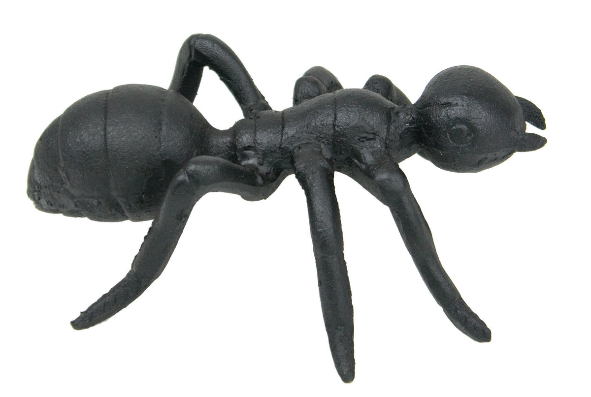 Ant – (Pkg. 4) X1650