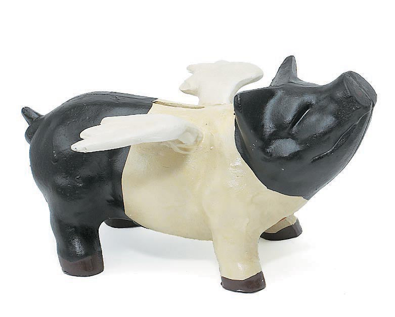Flying Pig Bank (Painted) X648